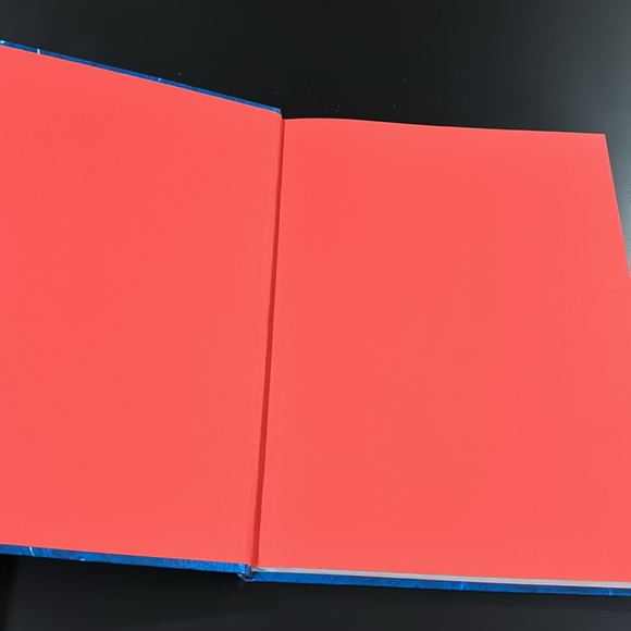 Disney Descendants 2: Evie’s Fashion Book - Hardcover Book - Picture 4 of 9